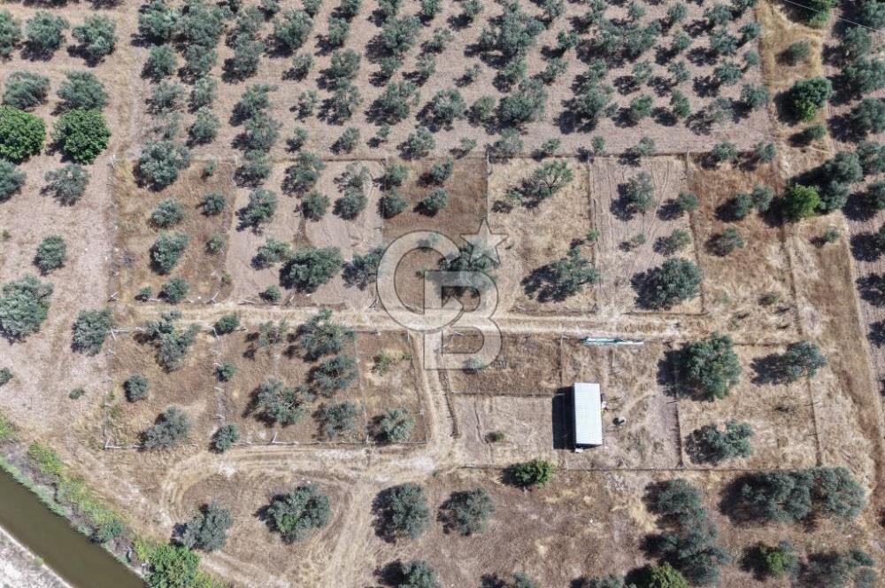 Menemen Türkelli'de Yatırımlık ve Hobi Amaçlı 265 m² Tarla