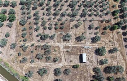 Menemen Türkelli'de Yatırımlık ve Hobi Amaçlı 265 m² Tarla