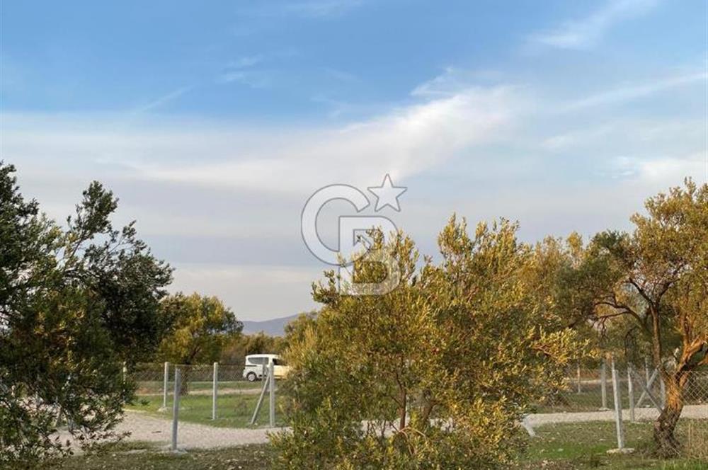 Menemen Türkelli'de Yatırımlık ve Hobi Amaçlı 265 m² Tarla
