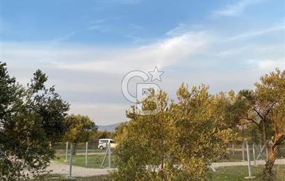 Menemen Türkelli'de Yatırımlık ve Hobi Amaçlı 265 m² Tarla