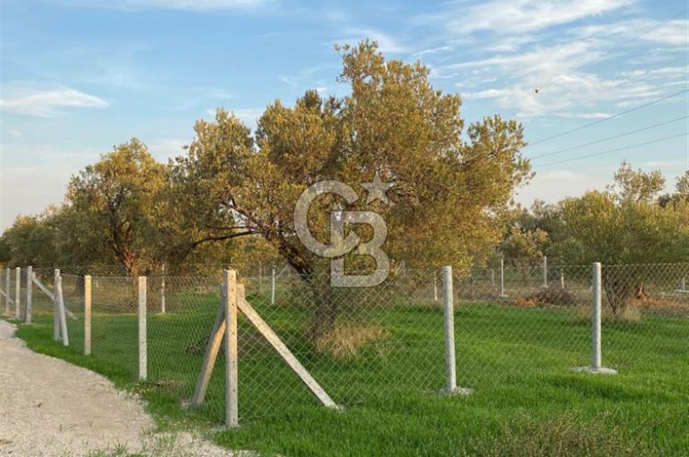 Menemen Türkelli'de Yatırımlık ve Hobi Amaçlı 265 m² Tarla