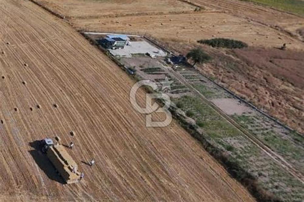Mustafa Çağlayan'dan Silivri Büyük Çavuşlu'da Satılık Yatırımlık Tarla 