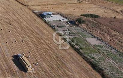 Mustafa Çağlayan'dan Silivri Büyük Çavuşlu'da Satılık Yatırımlık Tarla 