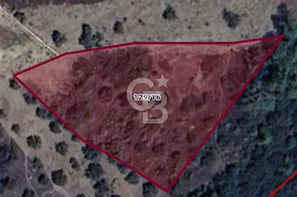 MUĞLA MENTEŞE KIRAN'DA YATIRIMLIK 1.998 m² SATILIK TARLA