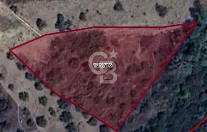 MUĞLA MENTEŞE KIRAN'DA YATIRIMLIK 1.998 m² SATILIK TARLA
