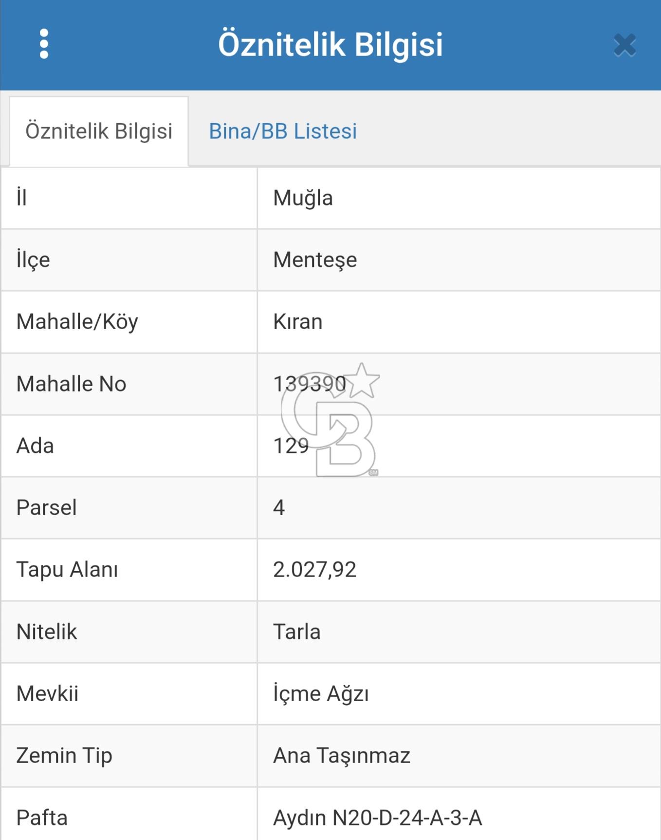 MUĞLA MENTEŞE KIRAN'DA SATILIK YATIRIMLIK TARLA 