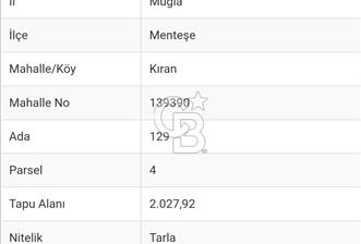 MUĞLA MENTEŞE KIRAN'DA SATILIK YATIRIMLIK TARLA  - 2 - 358291