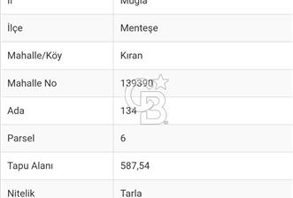 MUĞLA MENTEŞE KIRAN'DA SATILIK YATIRIMLIK TARLA - 1 - 358298