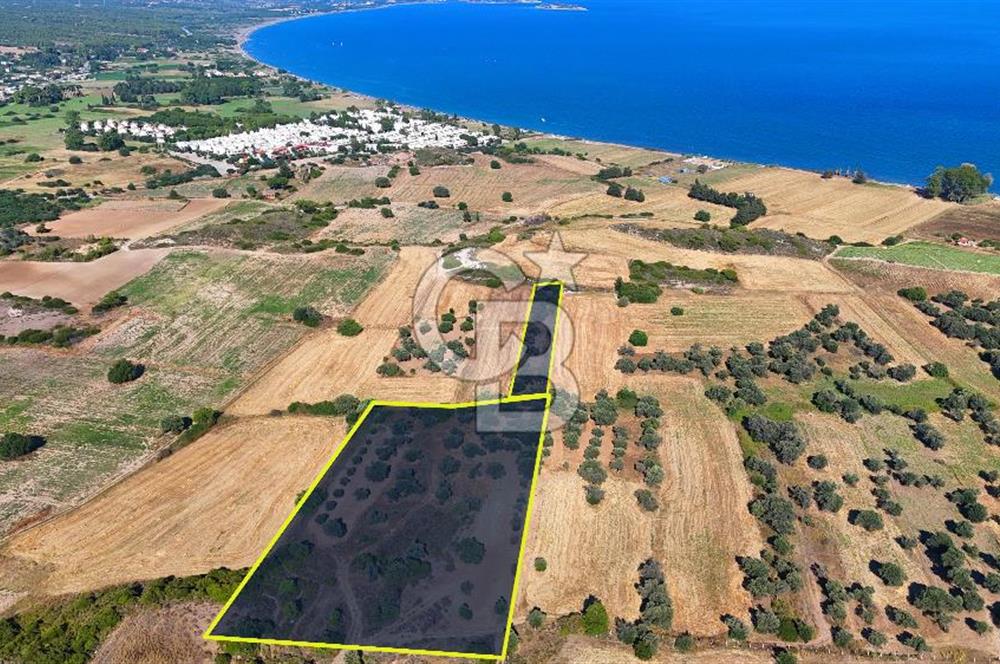 Datça Kızlanaltı T.T.A İmar Planın'da Satılık 2.108 m² Hisse
