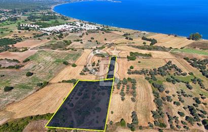 Datça Kızlanaltı T.T.A İmar Planın'da Satılık 2.108 m² Hisse