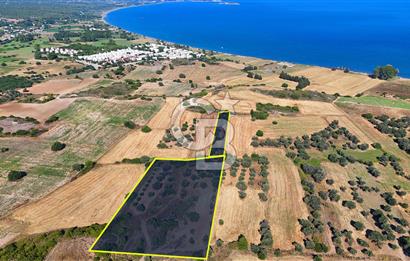 Datça Kızlanaltı T.T.A İmar Planın'da Satılık 2.108 m² Hisse