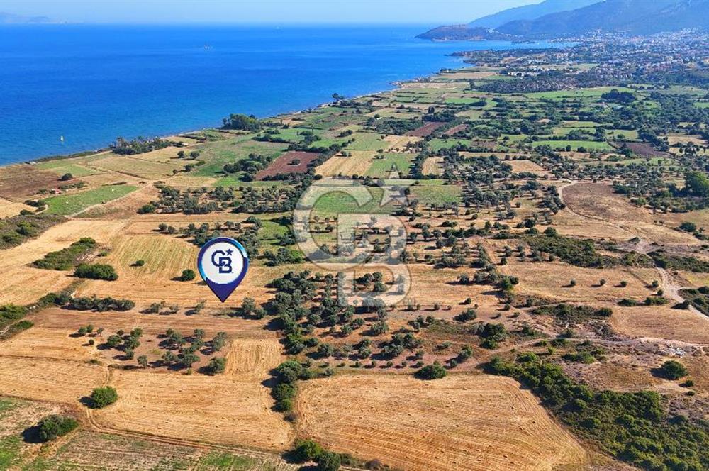 Datça Kızlanaltı T.T.A İmar Planın'da Satılık 2.108 m² Hisse