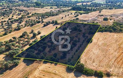 Datça Kızlanaltı T.T.A İmar Planın'da Satılık 2.108 m² Hisse