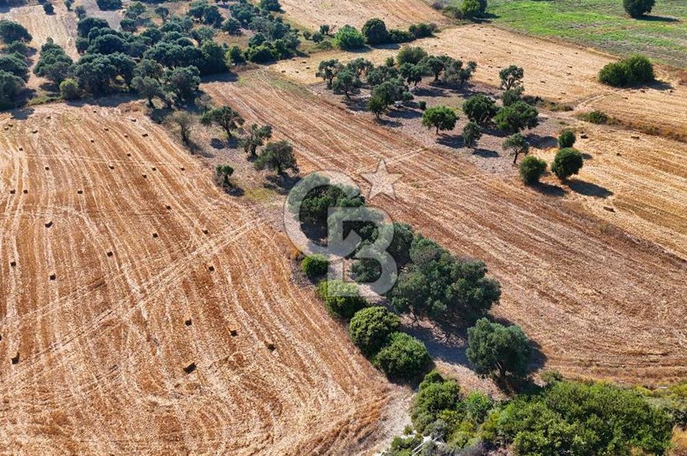 Datça Kızlanaltı T.T.A İmar Planın'da Satılık 2.108 m² Hisse