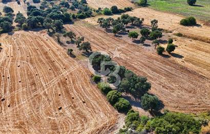 Datça Kızlanaltı T.T.A İmar Planın'da Satılık 2.108 m² Hisse