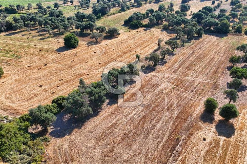 Datça Kızlanaltı T.T.A İmar Planın'da Satılık 2.108 m² Hisse