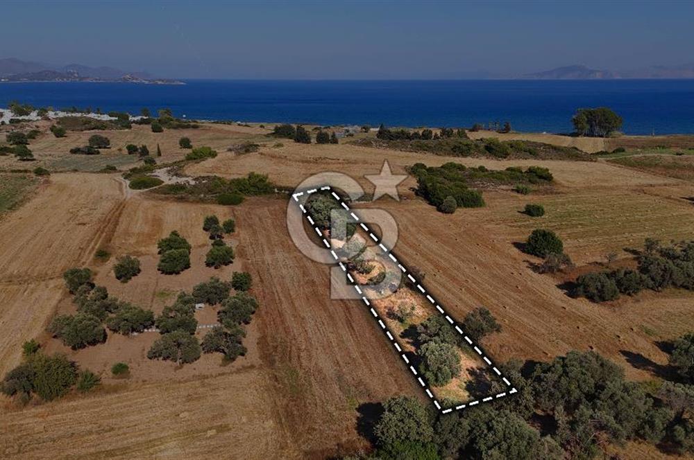 Datça Kızlanaltı T.T.A İmar Planın'da Satılık 2.108 m² Hisse