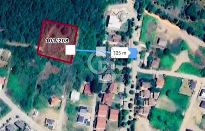 YALOVA KADIKÖY TERMAL YOLU ÇEVRESİNDE 3681 m² SATILIK ARS