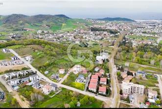 YALOVA KADIKÖY TUTULAN BÖLGE %30 İMARLI 401 m² SATILIK ARSA - 1 - 358310
