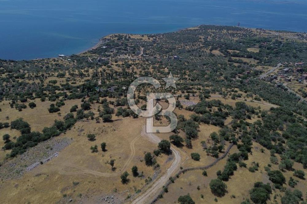 Ayvacik Bektas Satilik Deniz Manzarali Turizm Arsasi