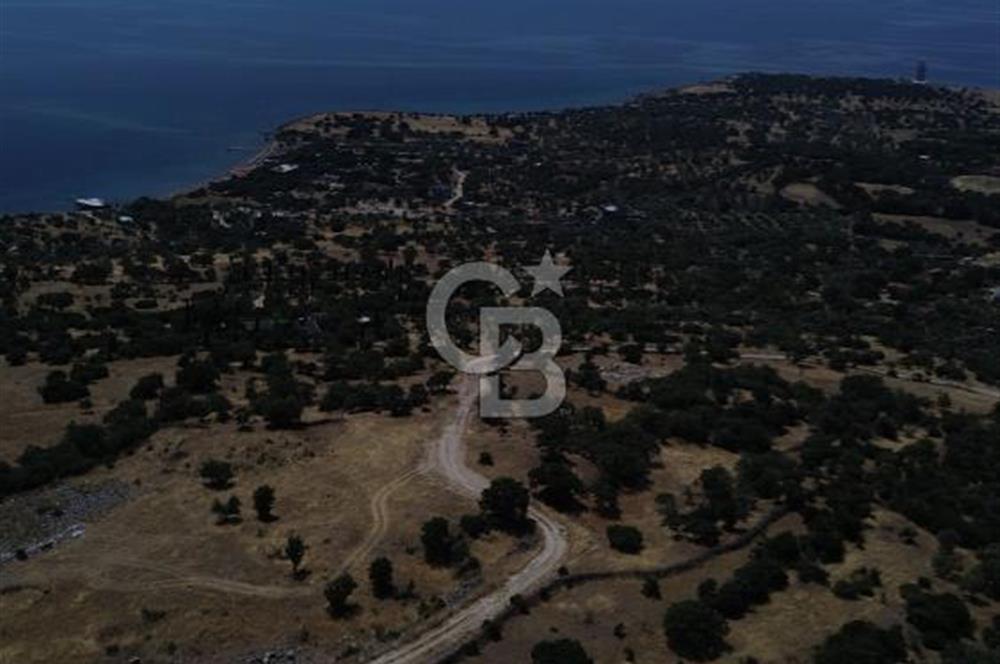 Ayvacik Bektas Satilik Deniz Manzarali Turizm Arsasi