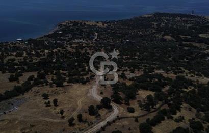 Ayvacik Bektas Satilik Deniz Manzarali Turizm Arsasi