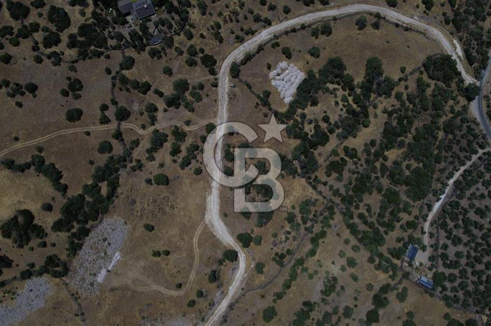 Ayvacik Bektas Satilik Deniz Manzarali Turizm Arsasi