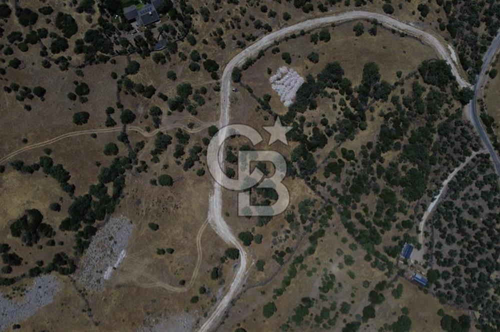 Ayvacik Bektas Satilik Deniz Manzarali Turizm Arsasi