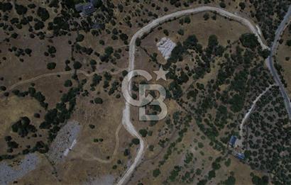 Ayvacik Bektas Satilik Deniz Manzarali Turizm Arsasi