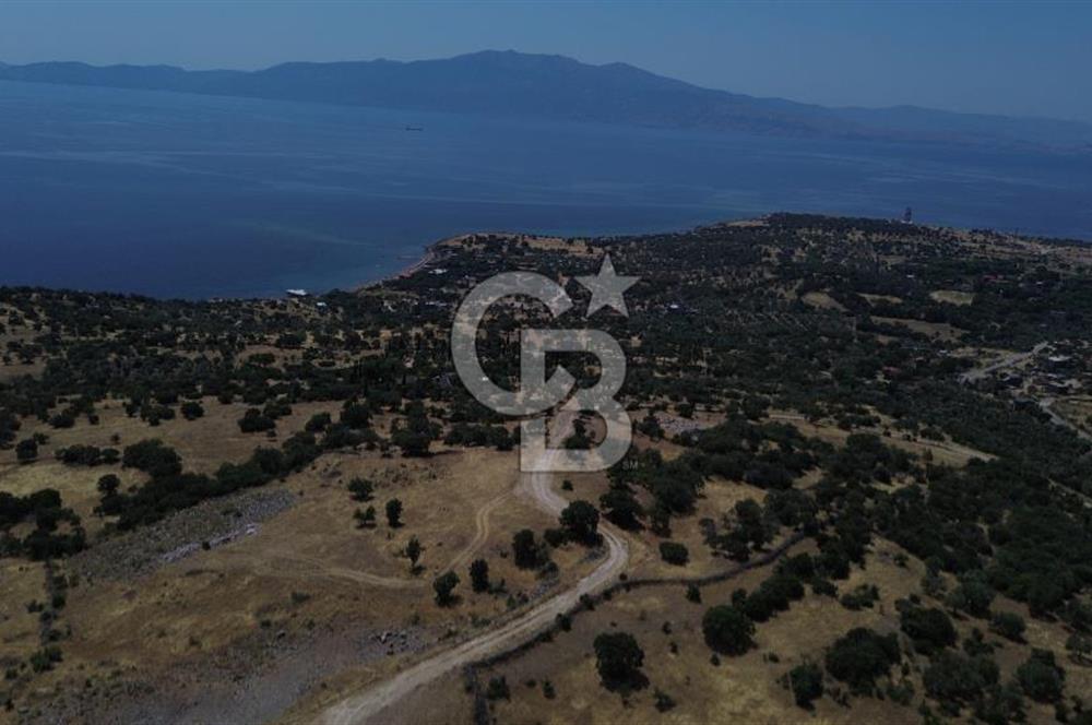 Ayvacik Bektas Satilik Deniz Manzarali Turizm Arsasi