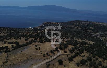 Ayvacik Bektas Satilik Deniz Manzarali Turizm Arsasi