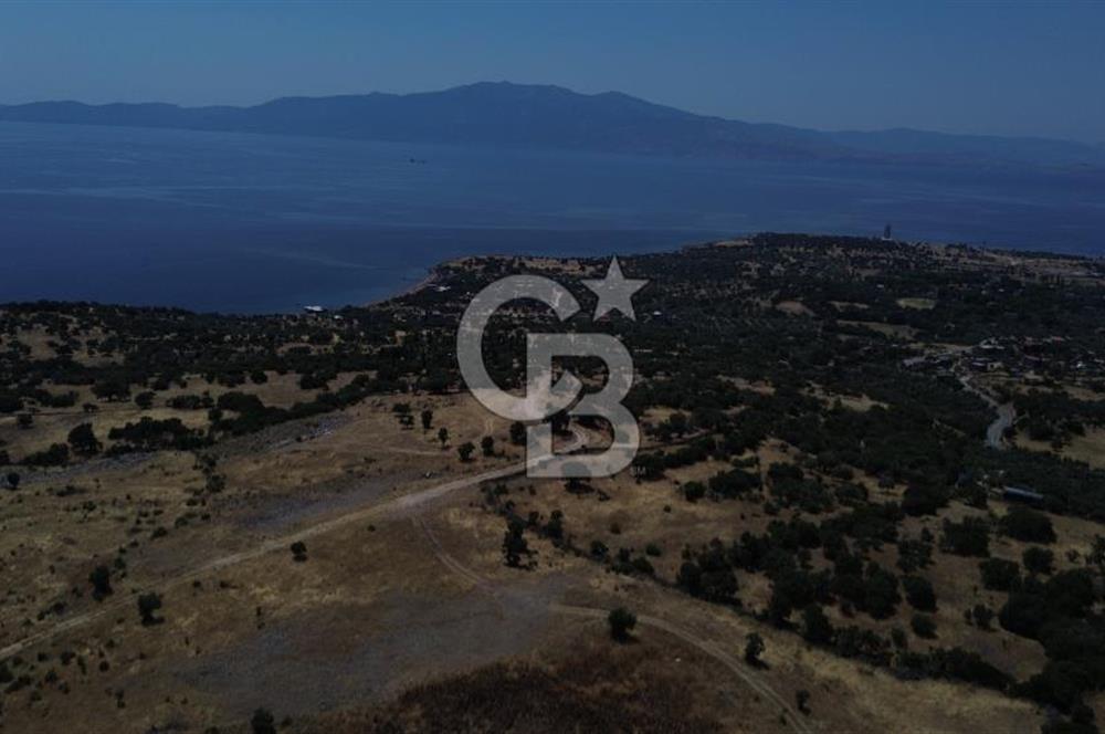 Ayvacik Bektas Satilik Deniz Manzarali Turizm Arsasi