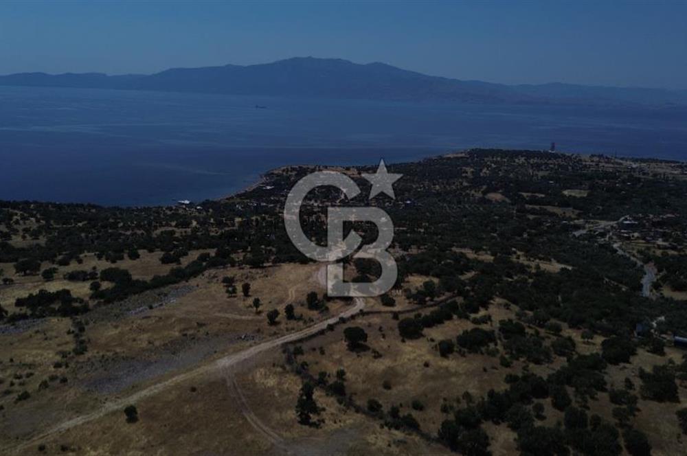 Ayvacik Bektas Satilik Deniz Manzarali Turizm Arsasi