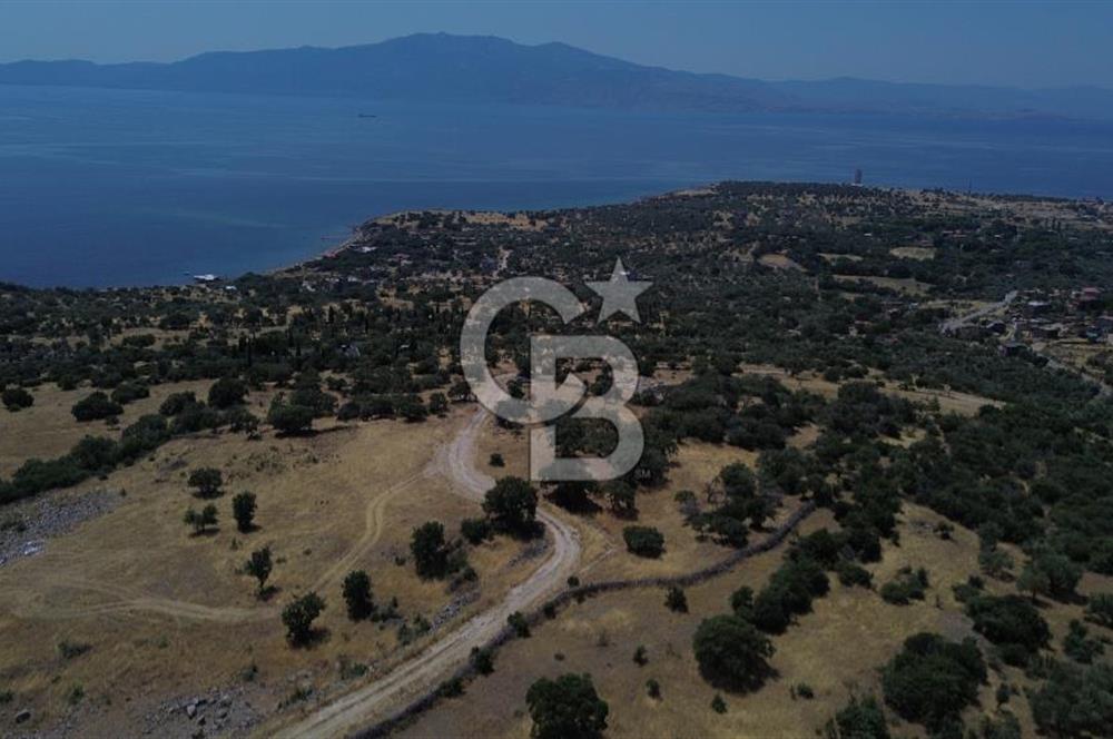 Ayvacik Bektas Satilik Deniz Manzarali Turizm Arsasi