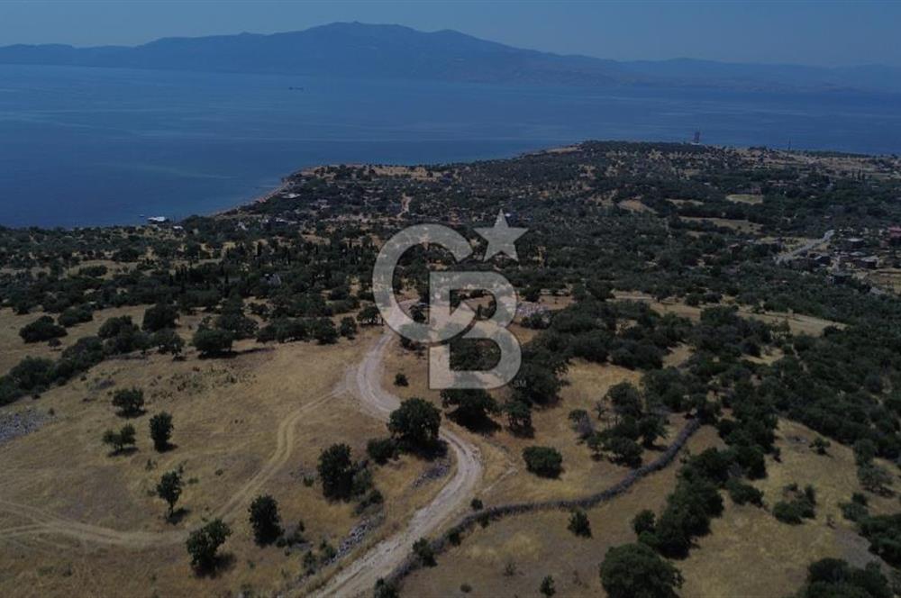 Ayvacik Bektas Satilik Deniz Manzarali Turizm Arsasi
