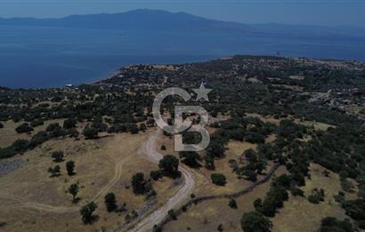 Ayvacik Bektas Satilik Deniz Manzarali Turizm Arsasi