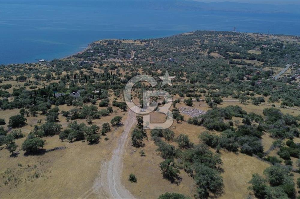 Ayvacik Bektas Satilik Deniz Manzarali Turizm Arsasi