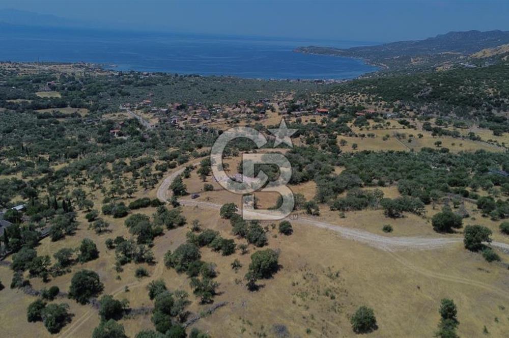 Ayvacik Bektas Satilik Deniz Manzarali Turizm Arsasi