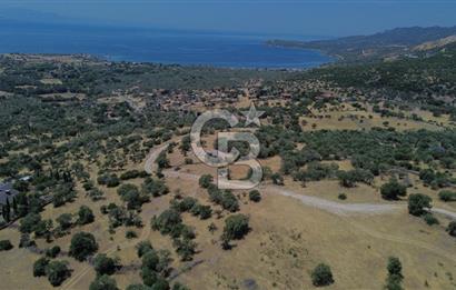 Ayvacik Bektas Satilik Deniz Manzarali Turizm Arsasi