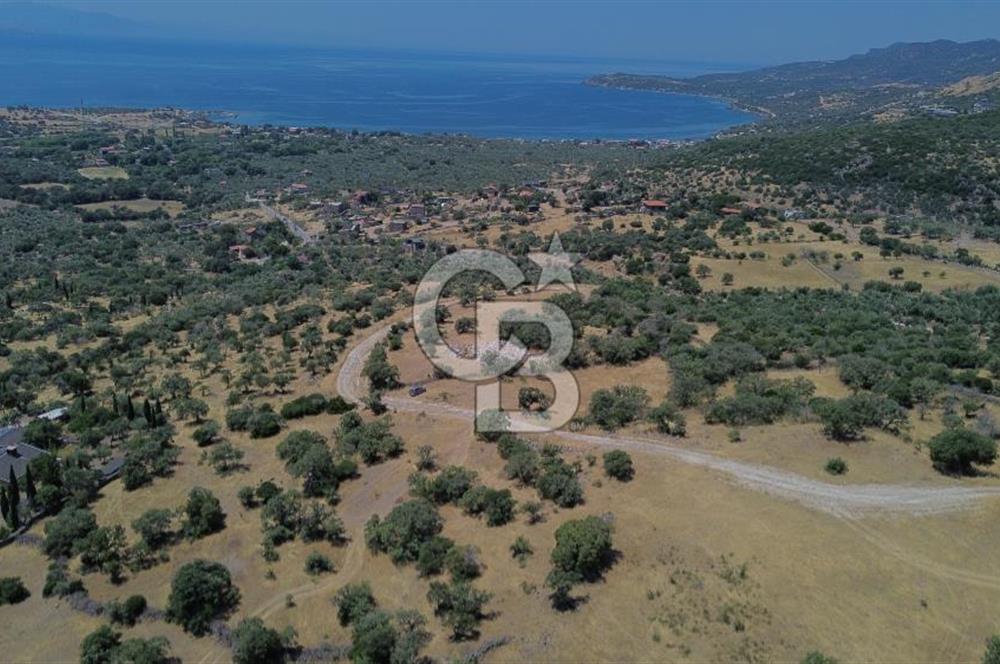 Ayvacik Bektas Satilik Deniz Manzarali Turizm Arsasi
