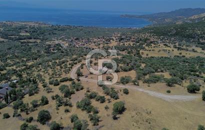 Ayvacik Bektas Satilik Deniz Manzarali Turizm Arsasi