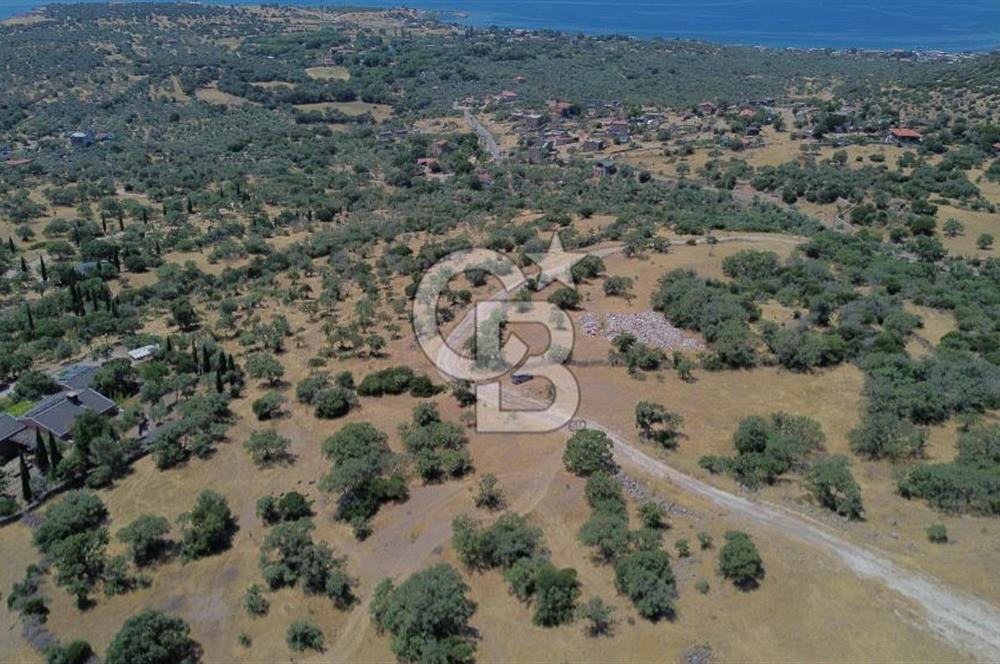 Ayvacik Bektas Satilik Deniz Manzarali Turizm Arsasi