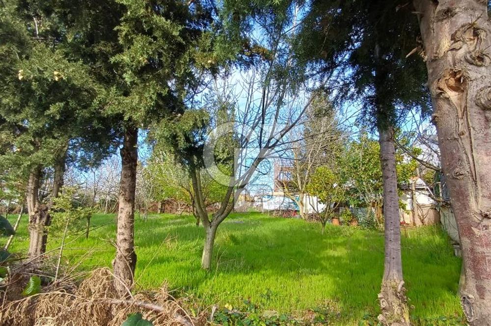 CB AKADEMİ Kabaoğlunda Deniz Manzaralı Köşe Parsel Villa İmarlı