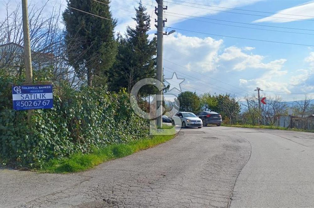 CB AKADEMİ Kabaoğlunda Deniz Manzaralı Köşe Parsel Villa İmarlı