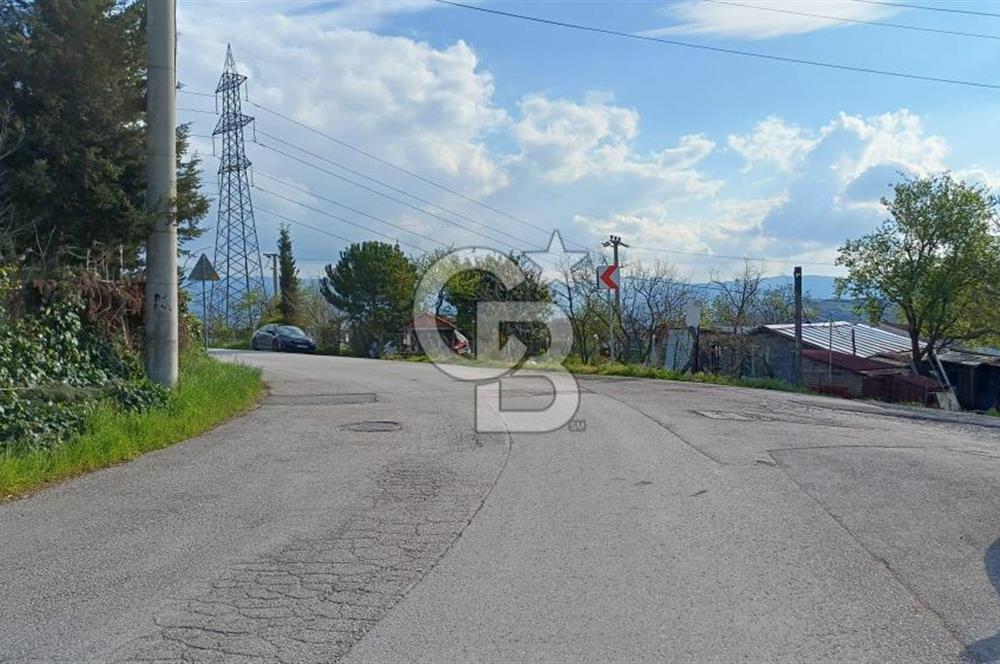 CB AKADEMİ Kabaoğlunda Deniz Manzaralı Köşe Parsel Villa İmarlı