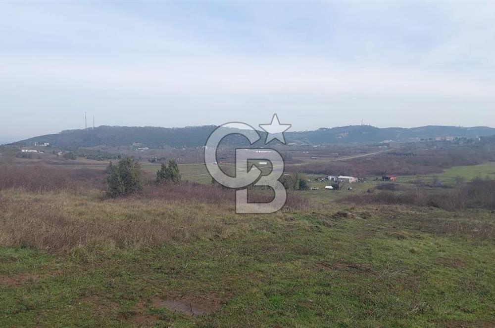 Şile Kurfallı 823 m2 arazi 