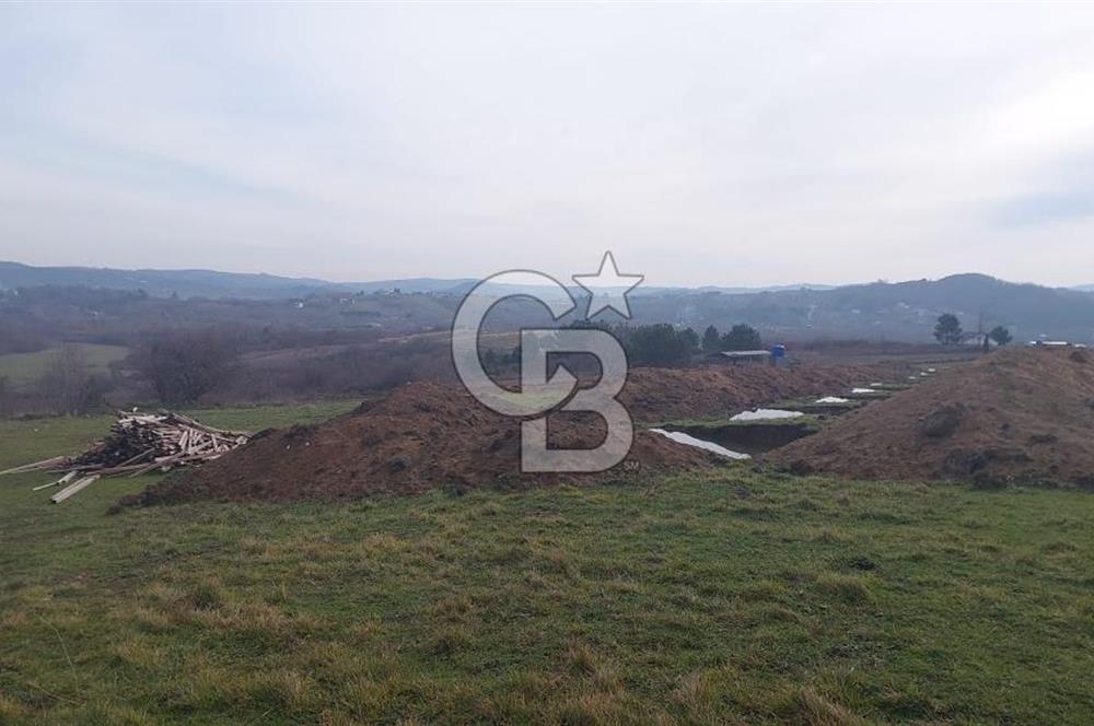 Şile Kurfallı 823 m2 arazi 