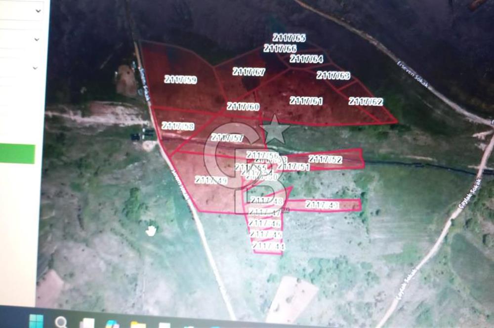 Şile Kurfallı 823 m2 arazi 