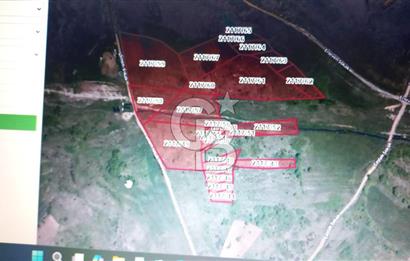 Şile Kurfallı 823 m2 arazi 