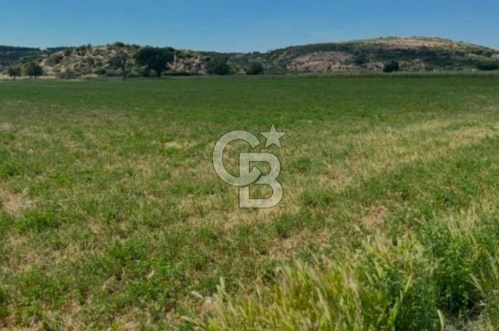 Şile Kurfallı 823 m2 arazi 